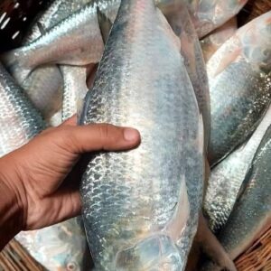 ৪ পিস মাছের ১০ কেজি ৫০০০ টাকা১কেজি ডিম ফ্রি